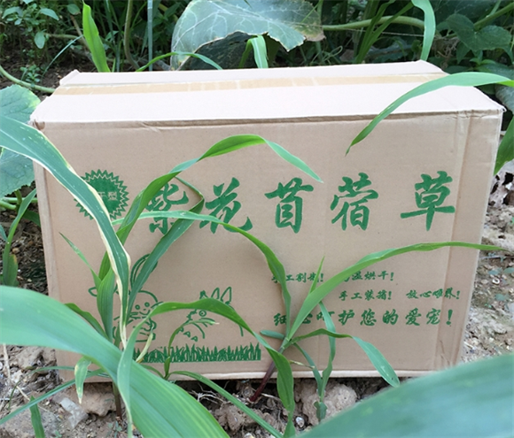 秀恩苜蓿草多少钱