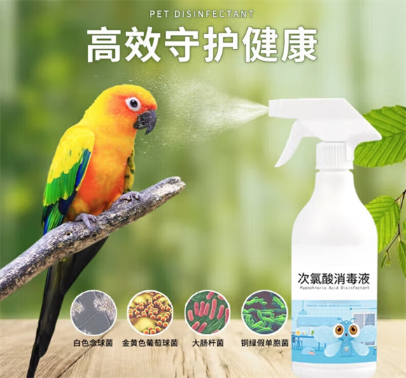 昙蓓漫鹦鹉消毒喷雾哪里可以买