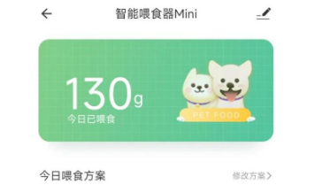 鸟语花香喂食器：上班族的宠物喂食神器