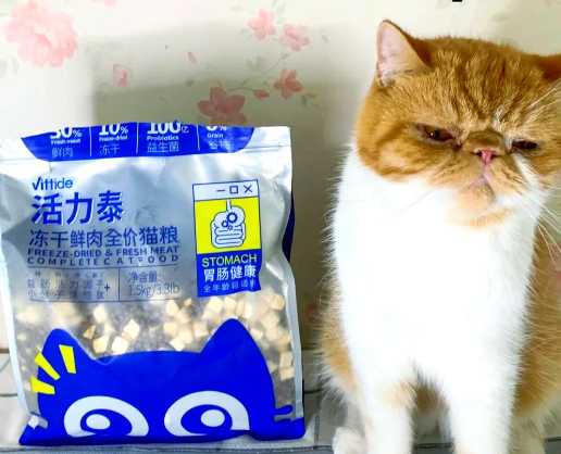 国产猫粮推荐:活力泰,守护猫咪肠道健康 国产猫粮推荐:活力泰,守护猫咪肠道健康