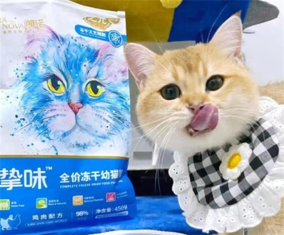 朗诺主食冻干:猫咪的美味选择 朗诺主食冻干:猫咪的美味选择