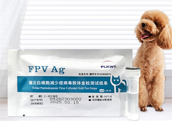 PLKWT细小试纸准确吗