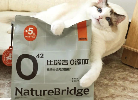 比瑞吉猫粮:值得一试吗? 比瑞吉猫粮:值得一试吗?