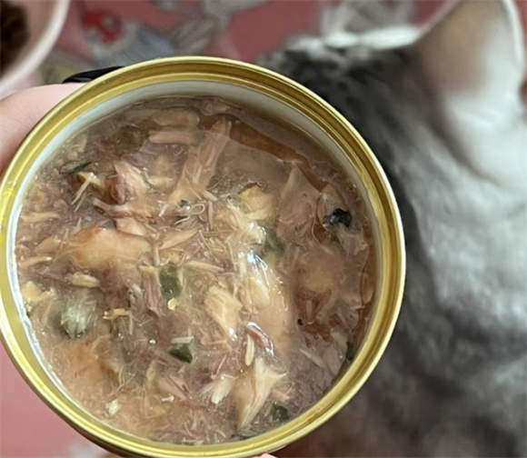 猫罐头正确吃法有哪些?新手赶紧收藏学起来!! 猫罐头正确吃法有哪些?新手赶紧收藏学起来!!