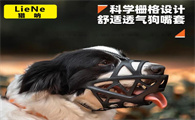 猎呐狗狗嘴套，安全出行的贴心伴侣