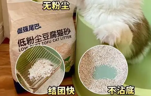 猫砂什么牌子最好用?选择倔强的尾巴豆腐猫砂准没错 猫砂什么牌子最好用?选择倔强的尾巴豆腐猫砂准没错