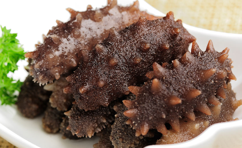 海参不可以跟什么一起吃 海参不可以跟什么一起吃