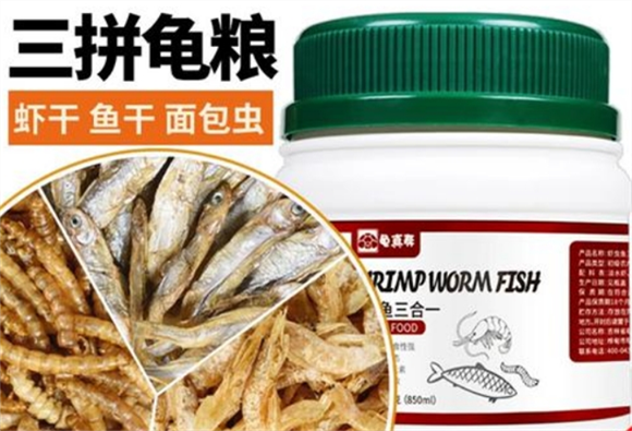 龟真寿是属于什么档次的