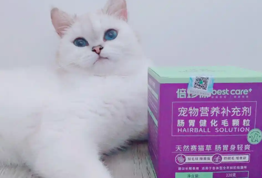 开启宠物健康宇宙,高端宠物医研保健品牌倍珍保品牌升级 开启宠物健康宇宙,高端宠物医研保健品牌倍珍保品牌升级