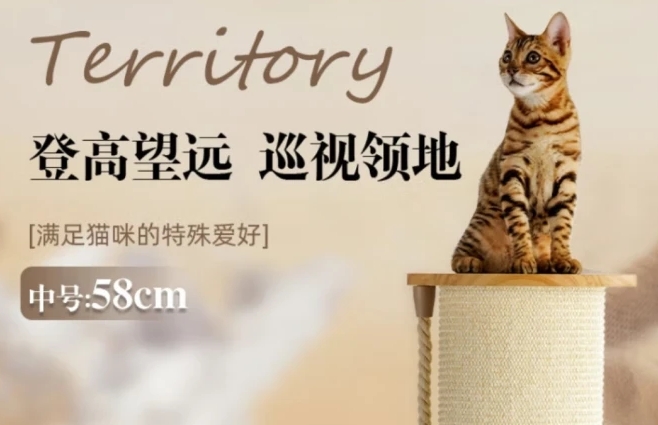 梵都宠舍属于什么档次
