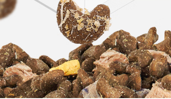 倔强的尾巴无谷猫粮值得买吗?适口性强带来健康发育 倔强的尾巴无谷猫粮值得买吗?适口性强带来健康发育