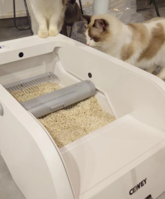 猫砂盆哪种款式比较好?cewey自动猫砂盆简直是懒人福音 猫砂盆哪种款式比较好?cewey自动猫砂盆简直是懒人福音