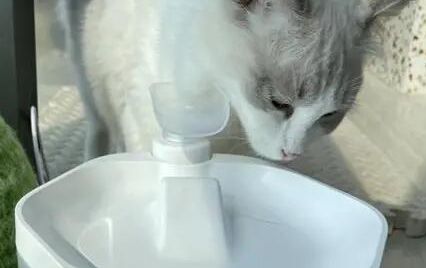 嘉柏兰猫咪饮水机的水多久换一次