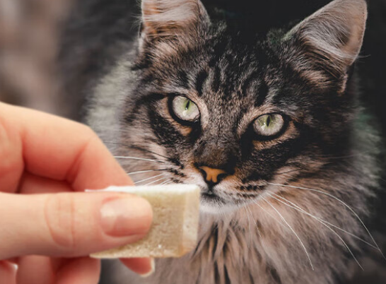 喵达冻干鸡肝肉粒：让猫咪的每一口都回归自然本味