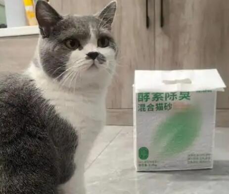 有宠说猫砂是国产吗 有宠说猫砂是国产吗