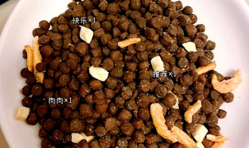 挑食狗狗的福音：贵芬全价冻干狗粮P61