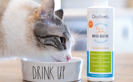 Oxyfresh宠物漱口水效果好吗?清洁力值得肯定 Oxyfresh宠物漱口水效果好吗?清洁力值得肯定