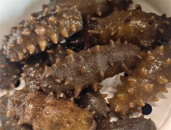 长期吃辽参对身体有什么好处