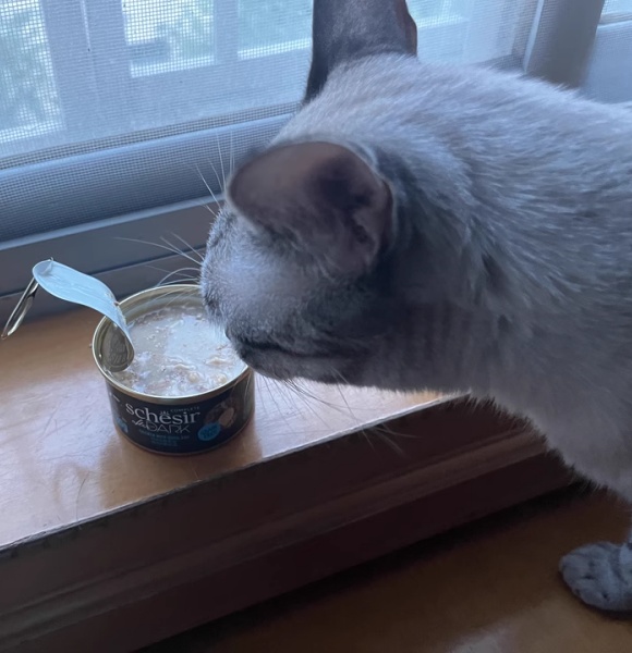 选罐头就是选“主子的心头好”。猫罐头江湖,没有永远的王者,只有永恒的适口性。毕竟,主子们的胃可是最挑剔的VIP,今天爱鸽肉,明天恨金枪鱼,全凭心情。学会看质检、试小包、勤换口味,再掏出这份猫罐头排名前十品牌“琅琊榜”对照,保准你家主子从此告别挑食,成为干饭界的“喵界顶流”! 选罐头就是选“主子的心头好”。猫罐头江湖,没有永远的王者,只有永恒的适口性。毕竟,主子们的胃可是最挑剔的VIP,今天爱鸽肉,明天恨金枪鱼,全凭心情。学会看质检、试小包、勤换口味,再掏出这份猫罐头排名前十品牌“琅琊榜”对照,保准你家主子从此告别挑食,成为干饭界的“喵界顶流”!