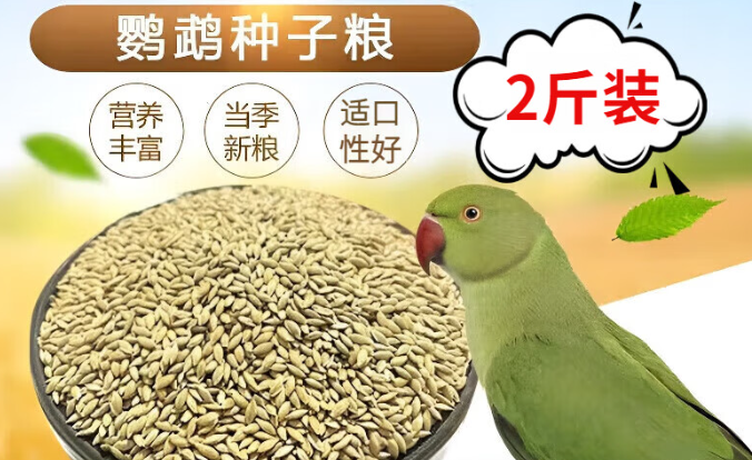 佐之寻是什么档次的