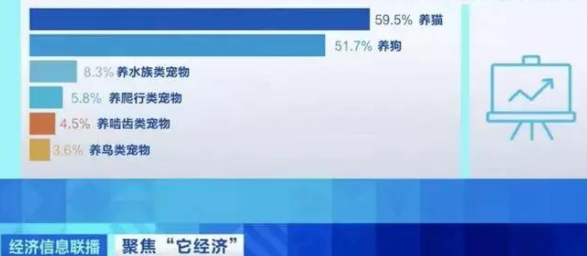 我自有山海：开启一场排毛棒的创新革命 