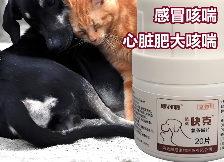 博林特宠物快克怎么样
