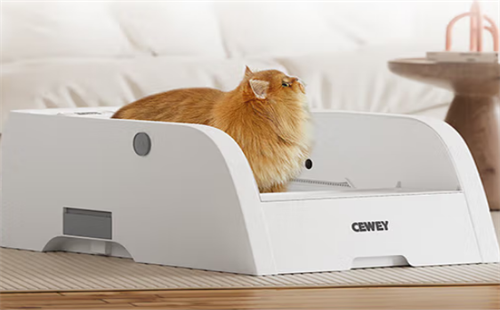 CEWEY
