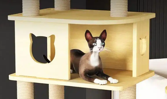 宠贝亚猫爬架是必需品吗 宠贝亚猫爬架是必需品吗