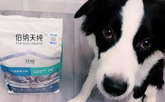 宠物狗粮品牌有哪些?揭秘优质狗粮对狗狗健康的核心价值 宠物狗粮品牌有哪些?揭秘优质狗粮对狗狗健康的核心价值