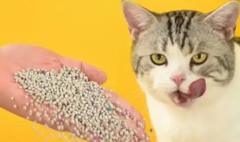 一人一伴猫砂是正规品牌吗