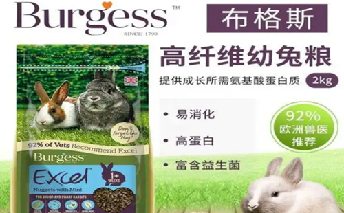 Burgess布格斯