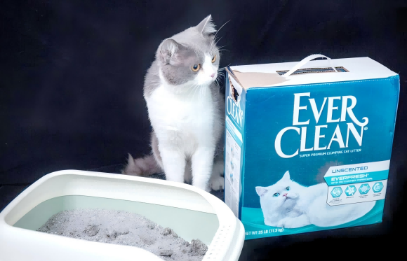 猫砂是什么东西?猫猫如厕神器“EverClean猫砂” 猫砂是什么东西?猫猫如厕神器“EverClean猫砂”