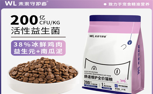 未来守护者