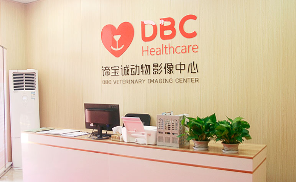 谛宝诚助力宠物医院：如何优选安全可靠的DR设备