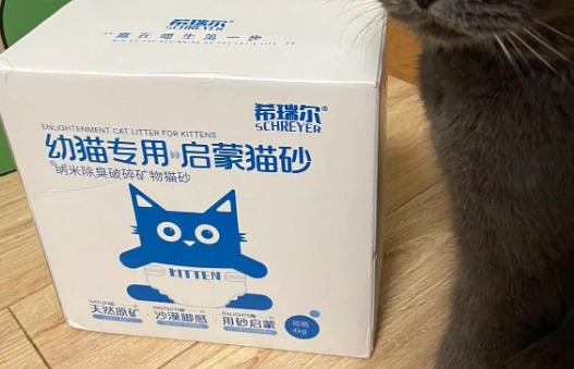口碑最好的十大猫砂排名，养猫人一定要看！