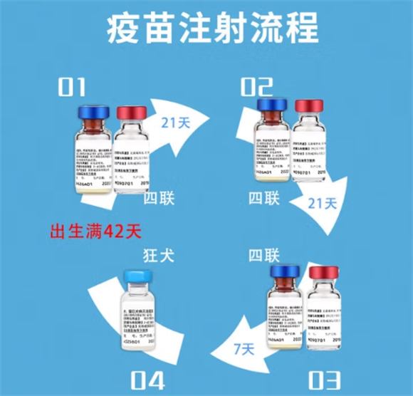 英特威四联一针25元是真的吗