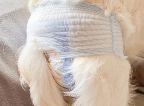 驭瑛狗狗生理裤,贴心呵护爱宠健康 驭瑛狗狗生理裤,贴心呵护爱宠健康