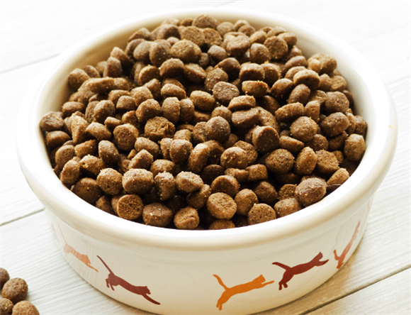 不同品牌40克狗粮是多少粒?感兴趣的铲屎官可以看看! 不同品牌40克狗粮是多少粒?感兴趣的铲屎官可以看看!