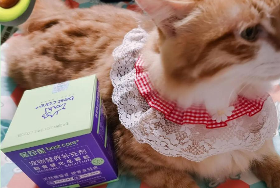 猫咪毛发问题？试试倍珍保肠胃健化毛颗粒！