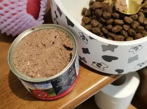 什么品牌的狗罐头好？这要看狗狗的具体需求