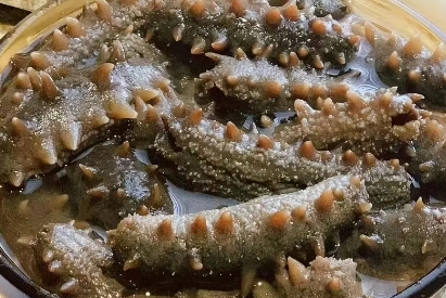 常吃海参身体有什么变化