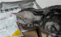 猫咪几个月吃冻干最好