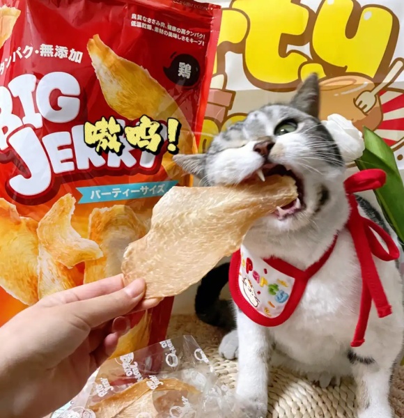 猫零食多久喂一次,这些平价猫零食推荐给铲屎官 猫零食多久喂一次,这些平价猫零食推荐给铲屎官