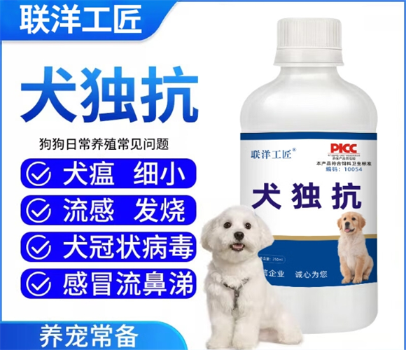 联洋工匠犬独抗的作用与用法