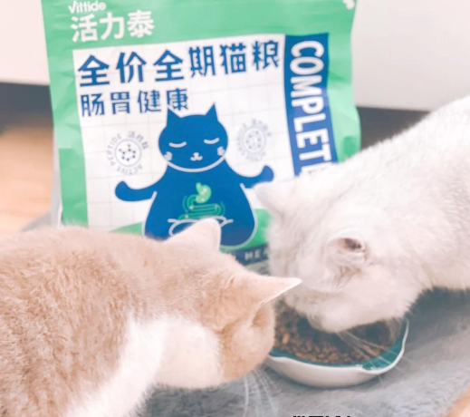 活力泰猫粮，守护猫咪肠胃健康！