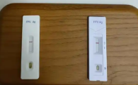 PLKWT fpv猫瘟试纸两条杠是猫瘟吗