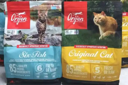 猫咪吃罐头好还是吃猫粮好呢?一文解析,看完不纠结! 猫咪吃罐头好还是吃猫粮好呢?一文解析,看完不纠结!