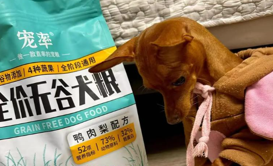 法斗狗粮品牌有哪些?这几款法斗专属,让狗狗吃得安心 法斗狗粮品牌有哪些?这几款法斗专属,让狗狗吃得安心
