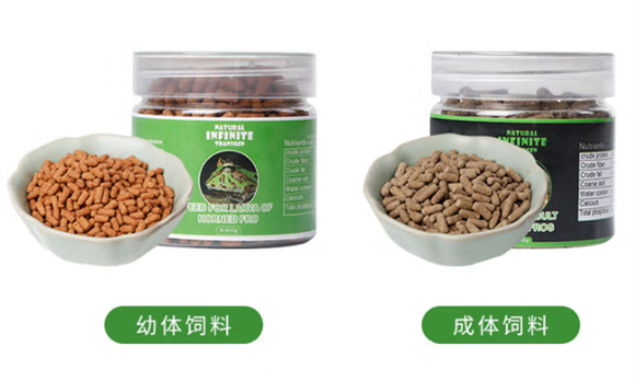 昙蓓漫角蛙饲料：角蛙成长的营养密码