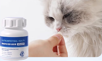 魔力猫盒 MollyBox猫咪益生菌：守护肠道的健康卫士
